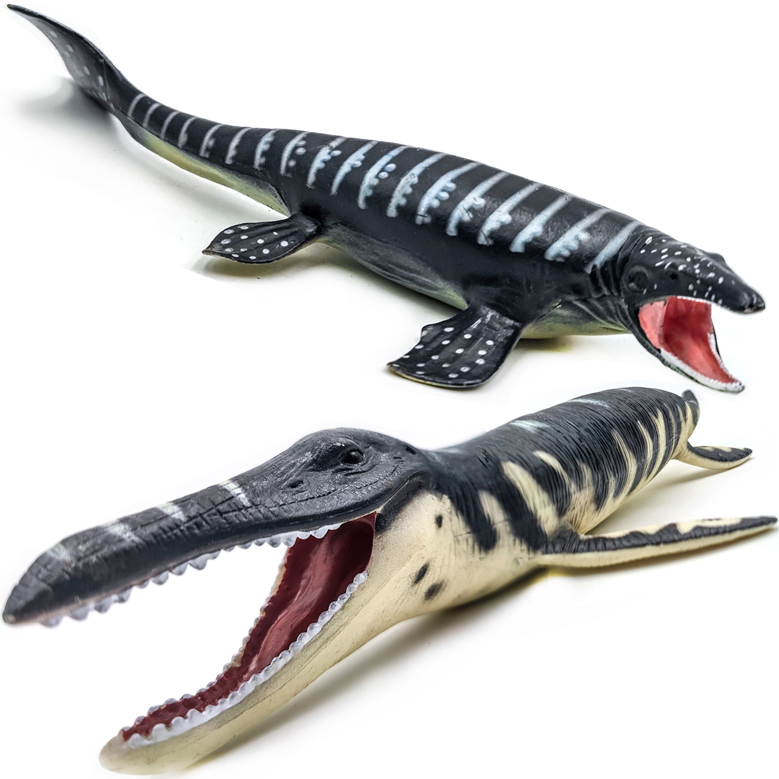 Kids Education In Japan - NEW Sea Life Animal vita prescolare