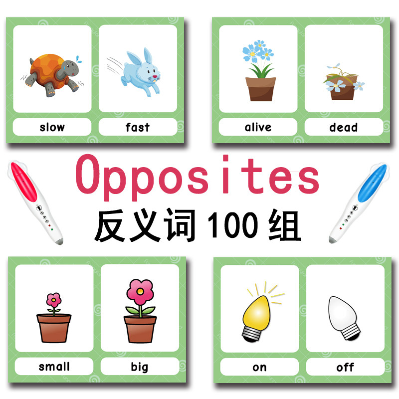 100 Gruppi di Carte Flash con  - Kids Education In Us recensione e prezzo