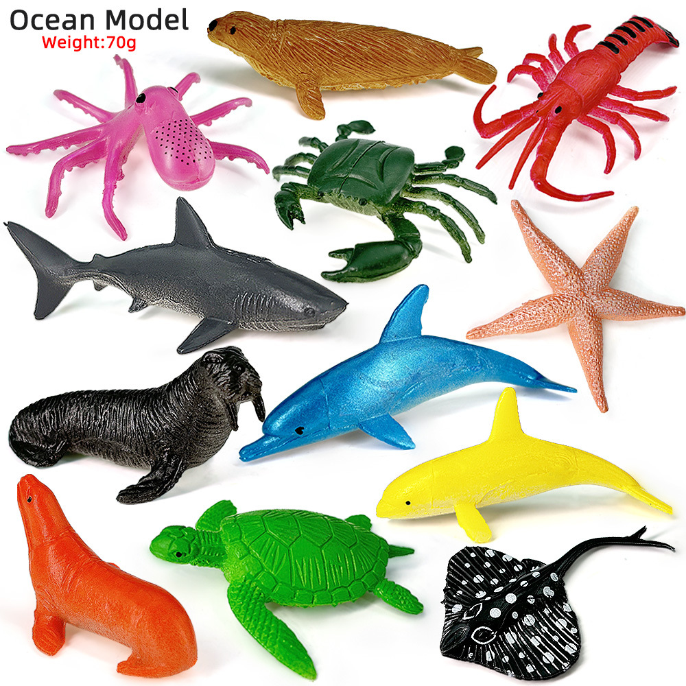 12 pezzi oceano vita marina se - Kids Education Kit recensione e prezzo