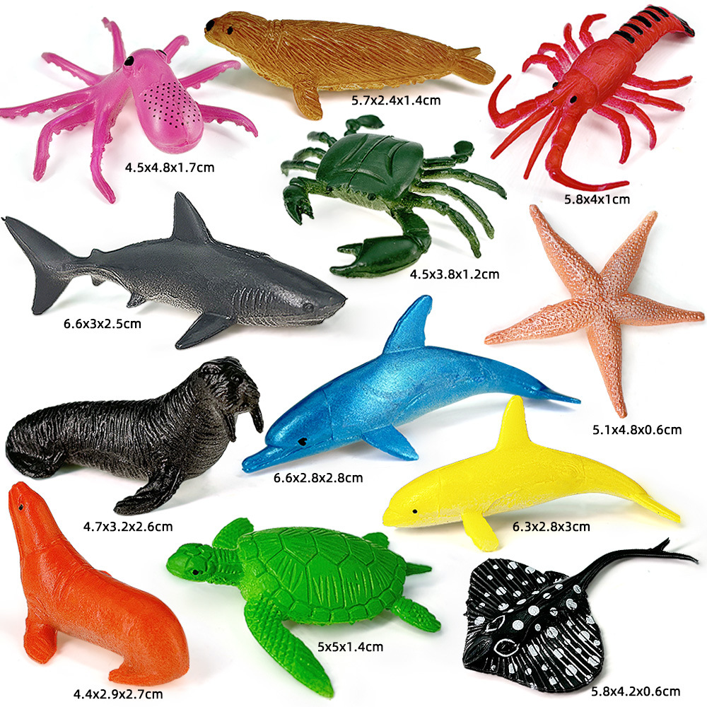 12 pezzi oceano vita marina se - Kids Education Kit recensione e prezzo